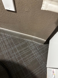Dirty carpet and sofa
Tables were stained