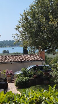 Uitzicht vanuit de tuin