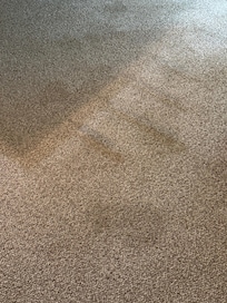 Carpets had large areas of staining