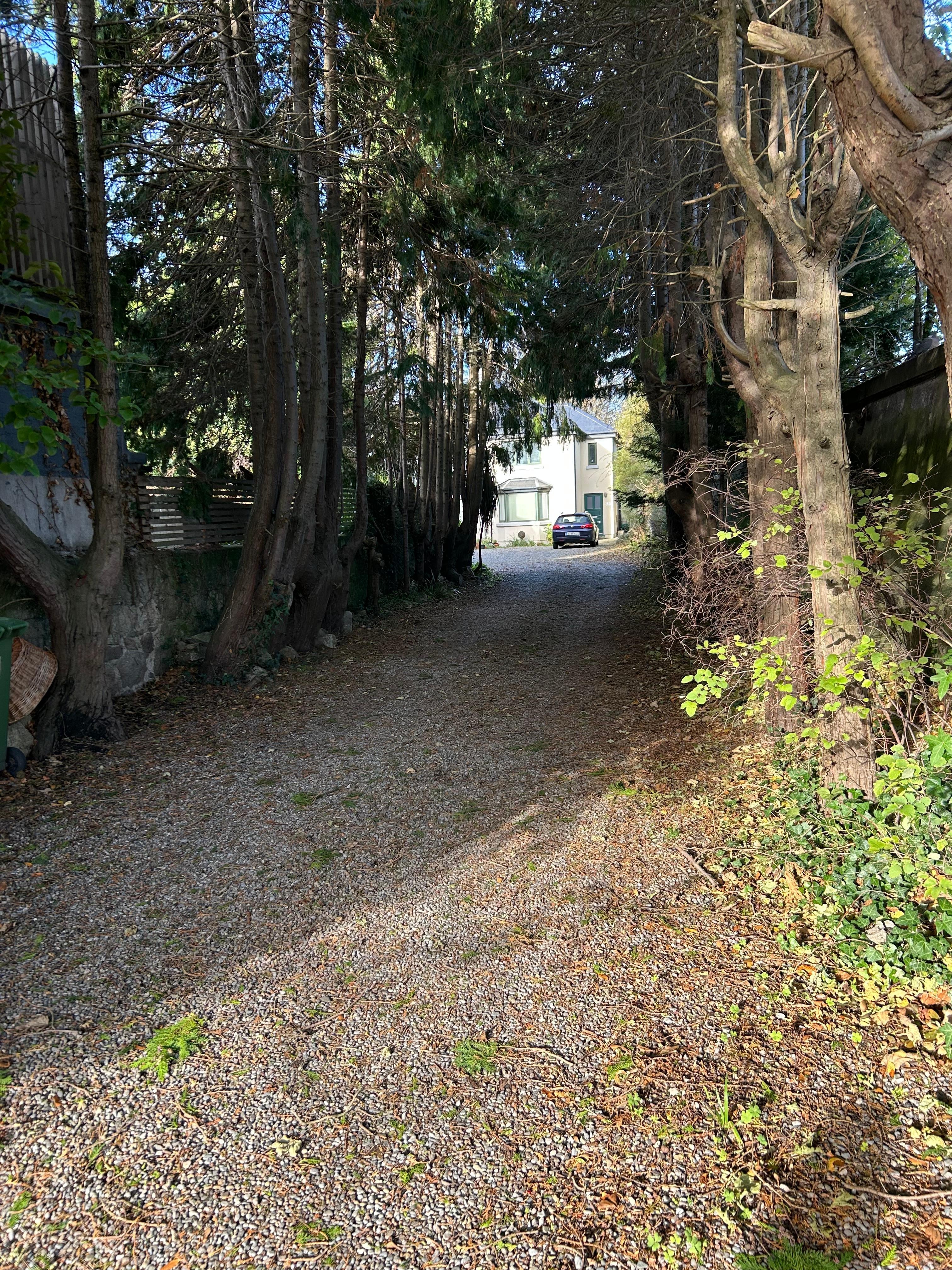 Walkway from Dunville Avenue to Oakwood House