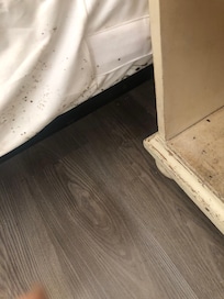 Mold