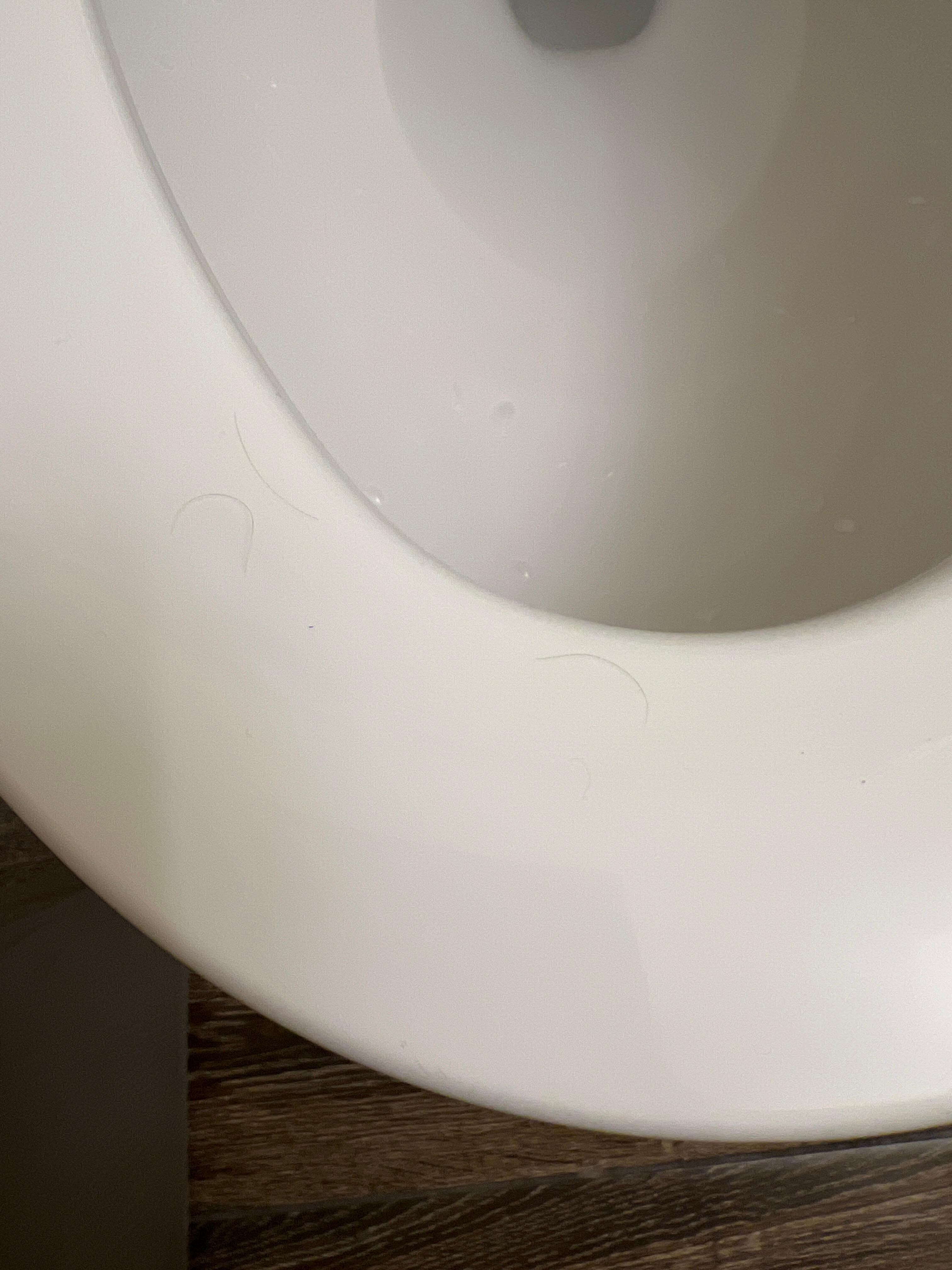 Hair on the toilet seat