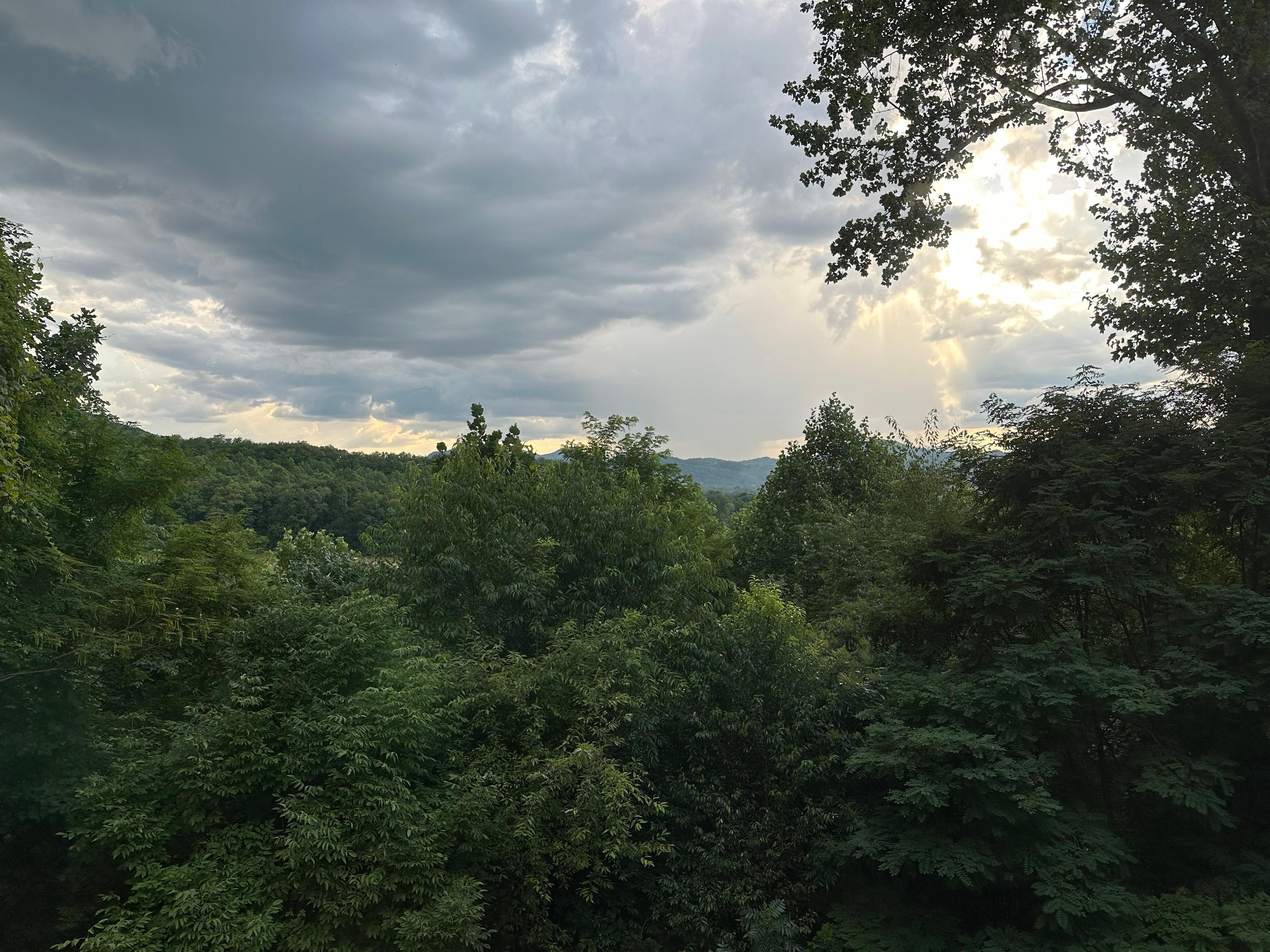 View from living room window