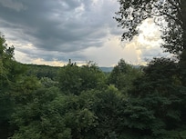 View from living room window