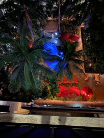 Pool area view from the balcony.