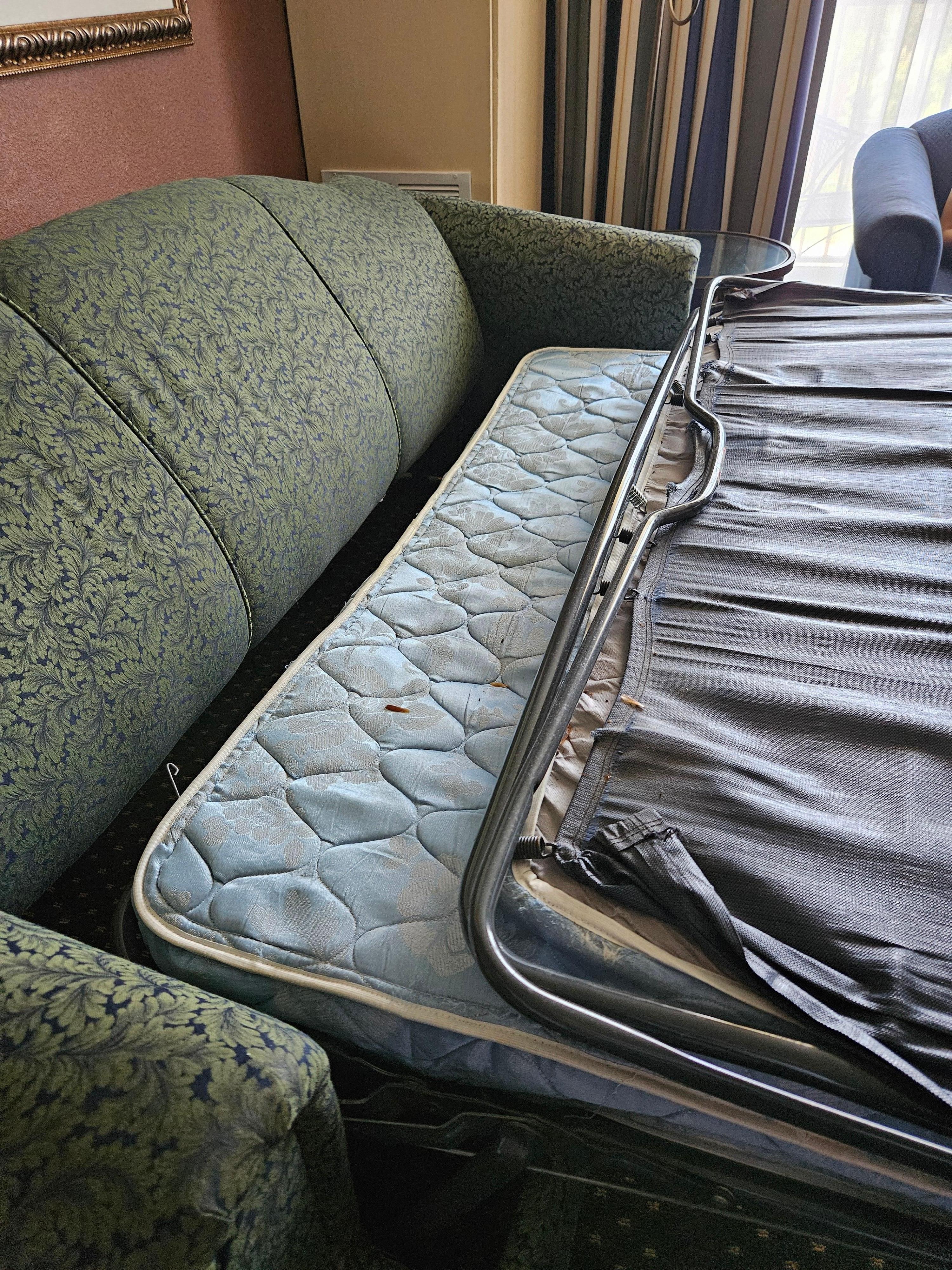 Dead cockroaches wings inside the sofa mattress.