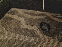 Envoltura en el suelo
NO LIMPIAN!!!!