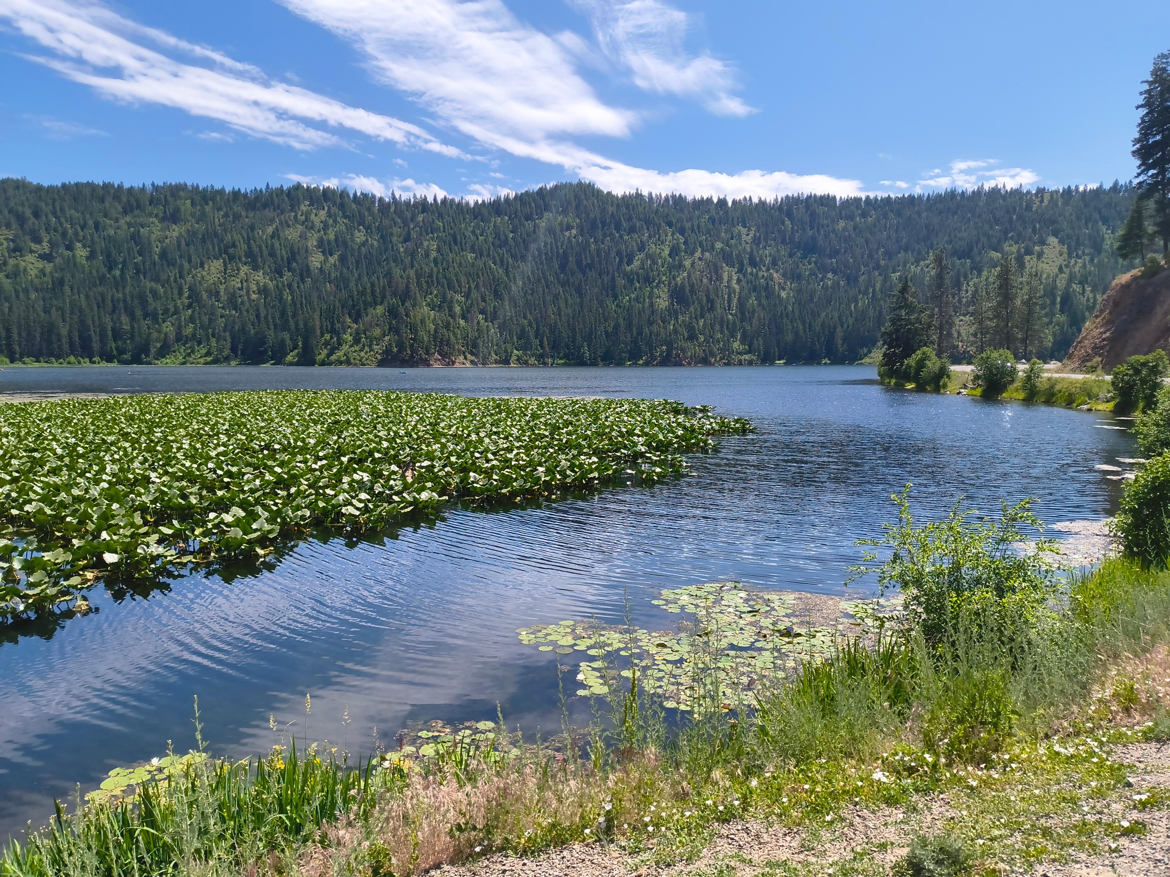 Fernan Lake