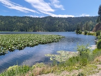 Fernan Lake