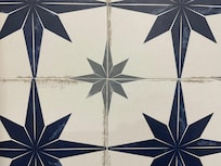 black mold on tiles?