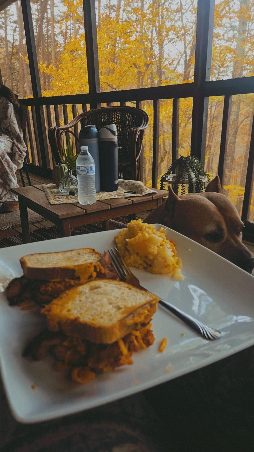 Perfect morning view 