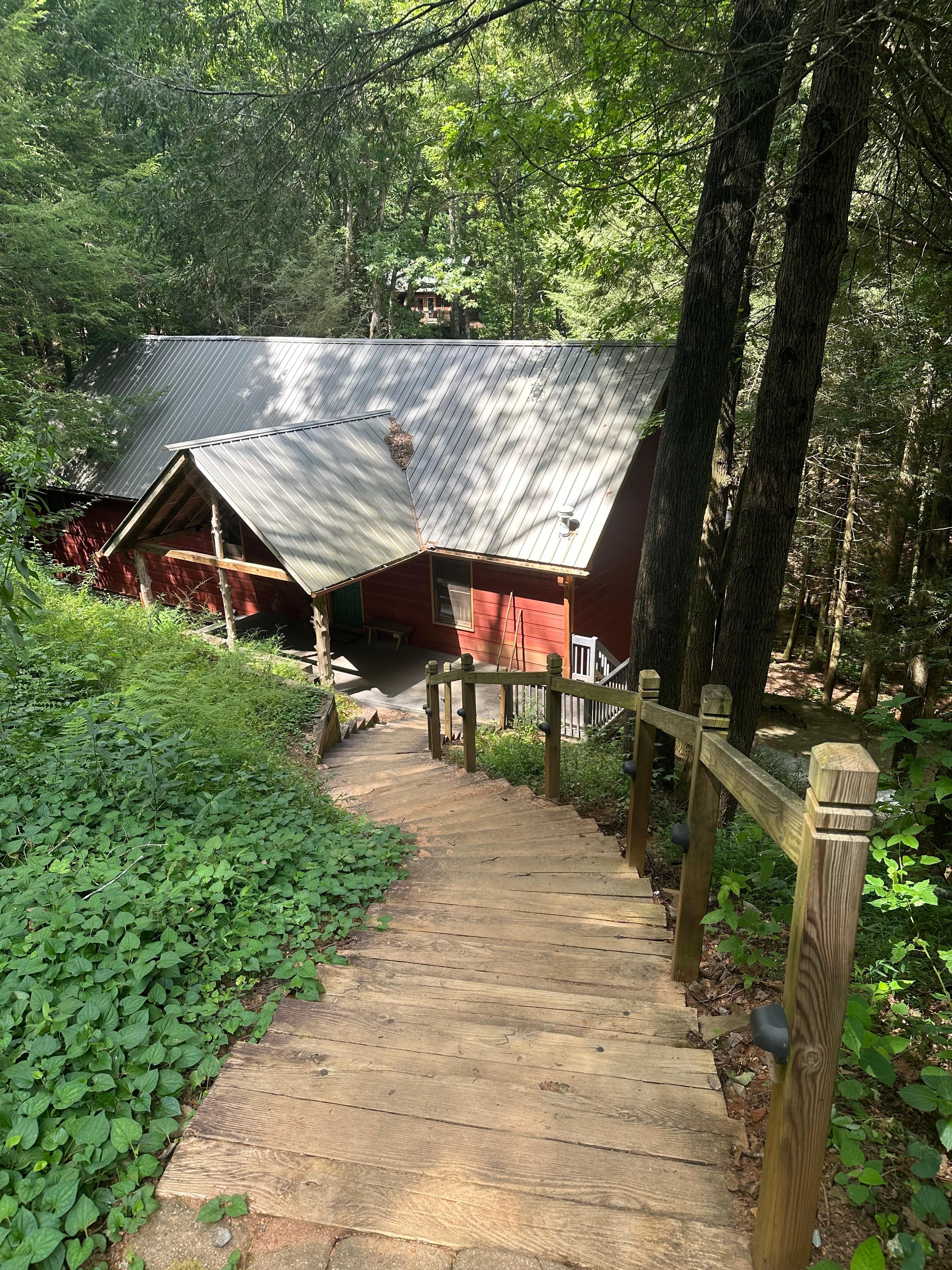 Stairs leading to front door from the driveway. 