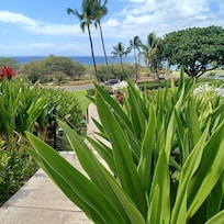 Walkway to Kam III beach