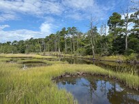 The beautiful (and active!) marsh directly across the street.