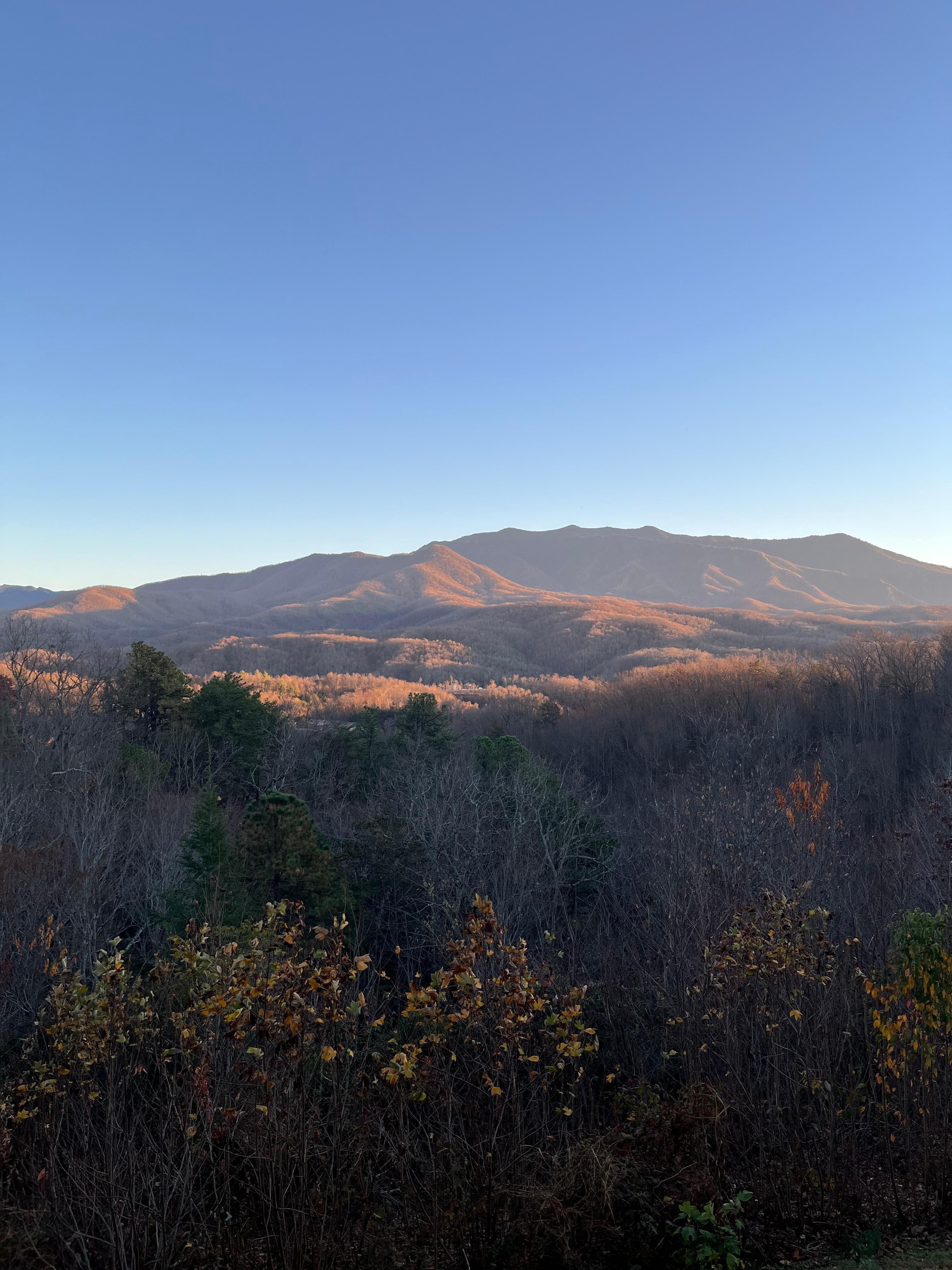 View of LeConte Mountain from back deck of cabin.