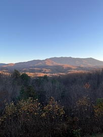 View of LeConte Mountain from back deck of cabin.