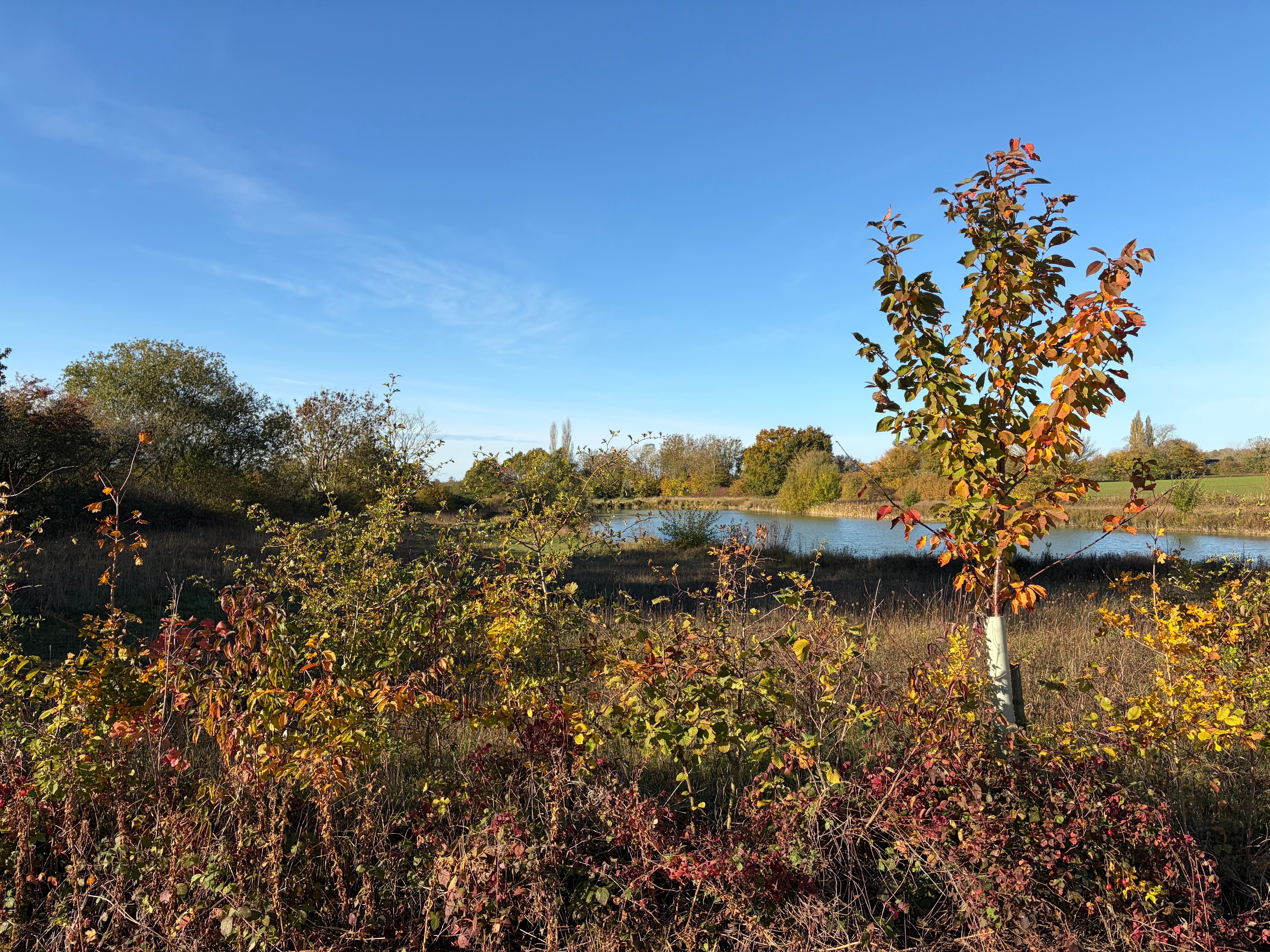 A short walk across the fields