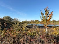 A short walk across the fields