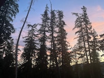 Twilight from the front porch