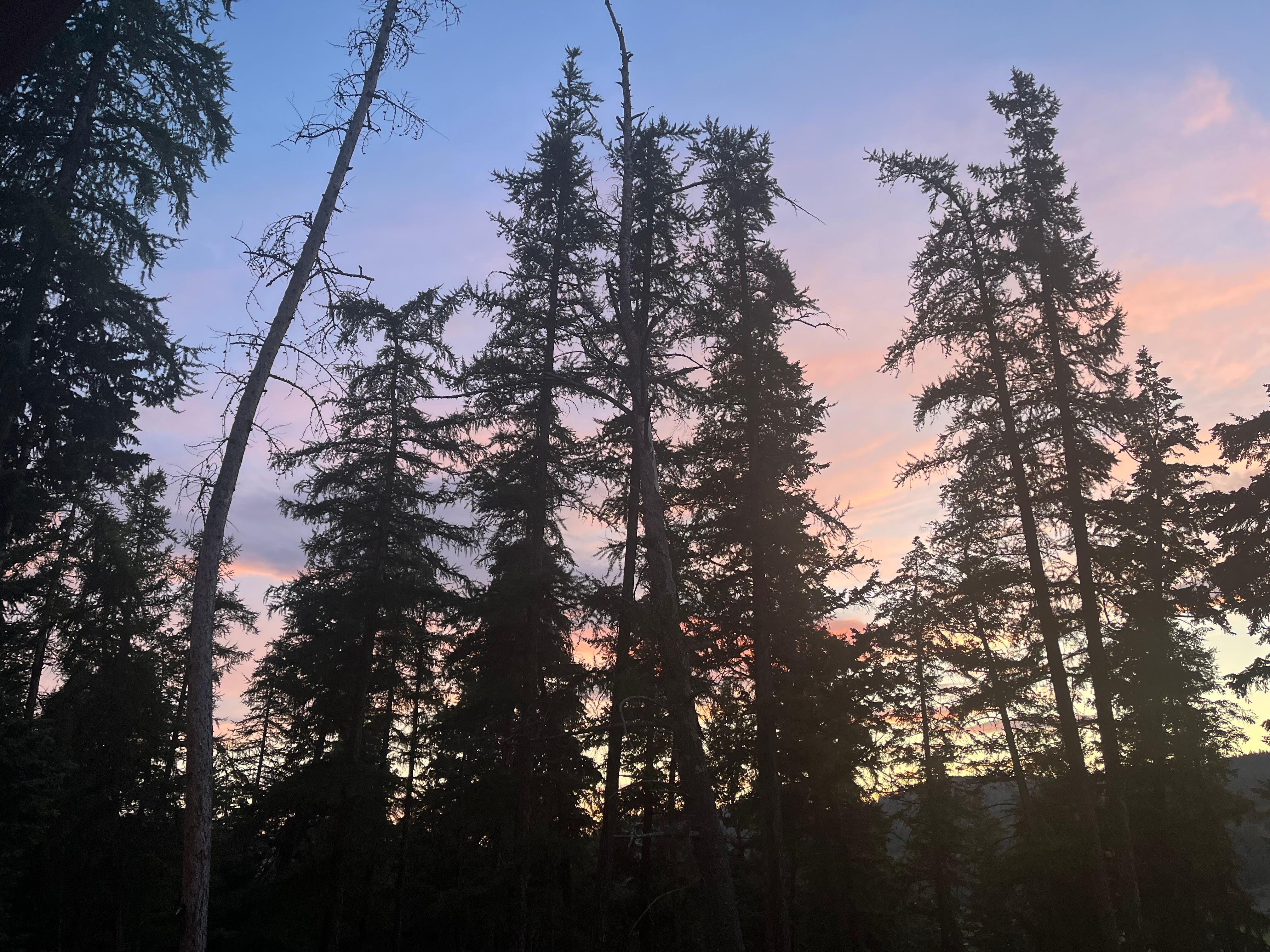 Twilight from the front porch