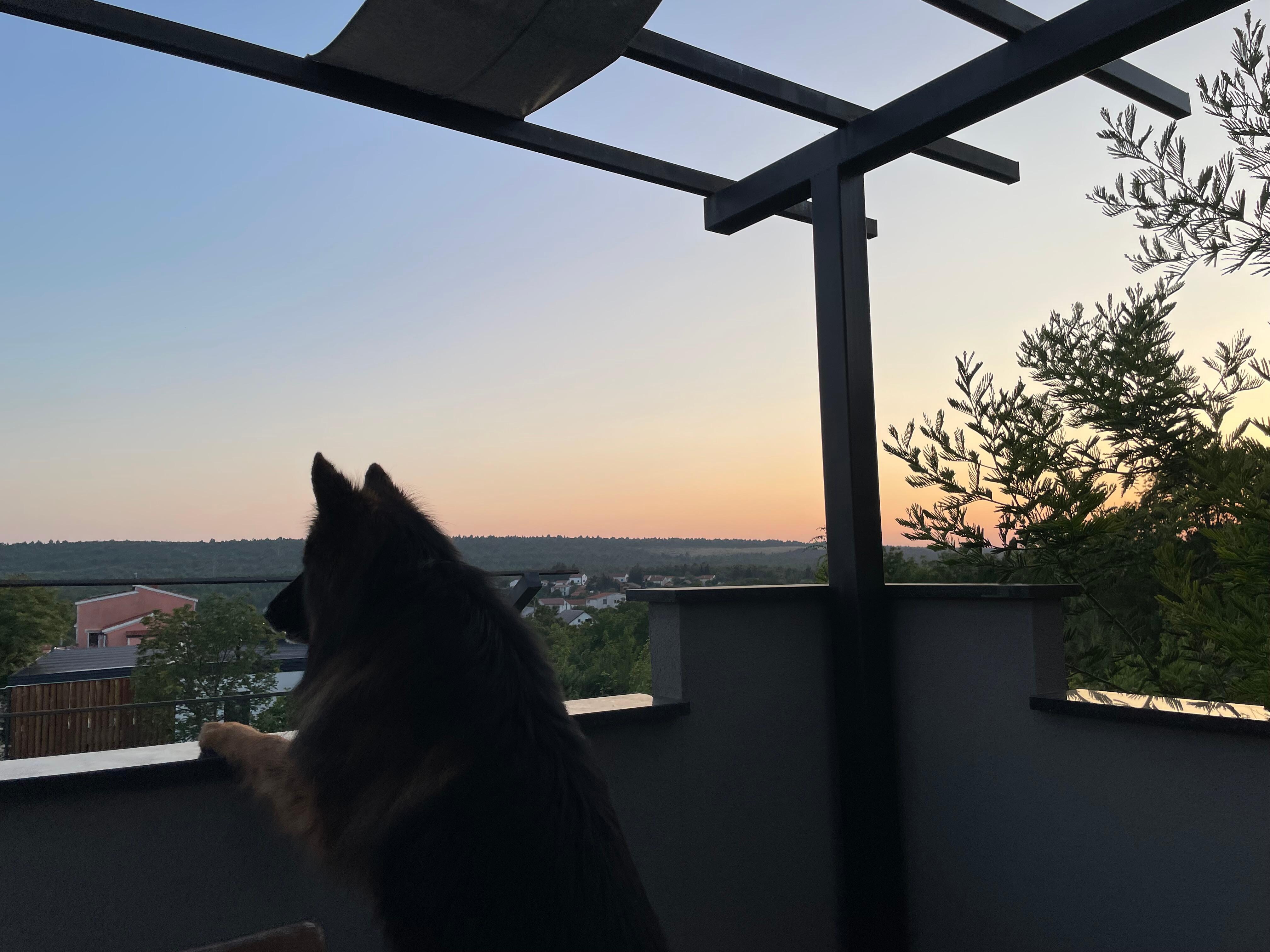 Toller Ausblick