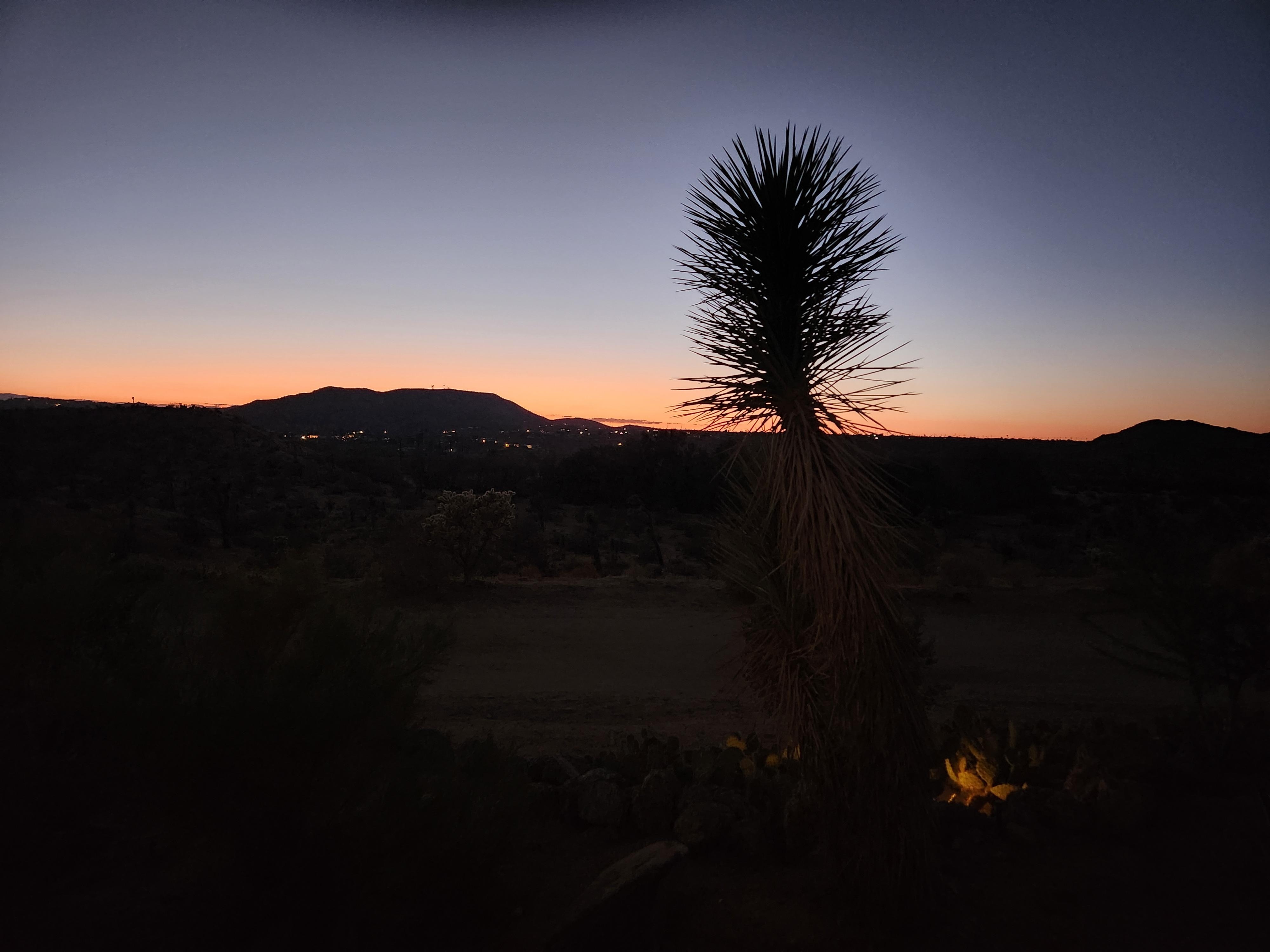 View from patio