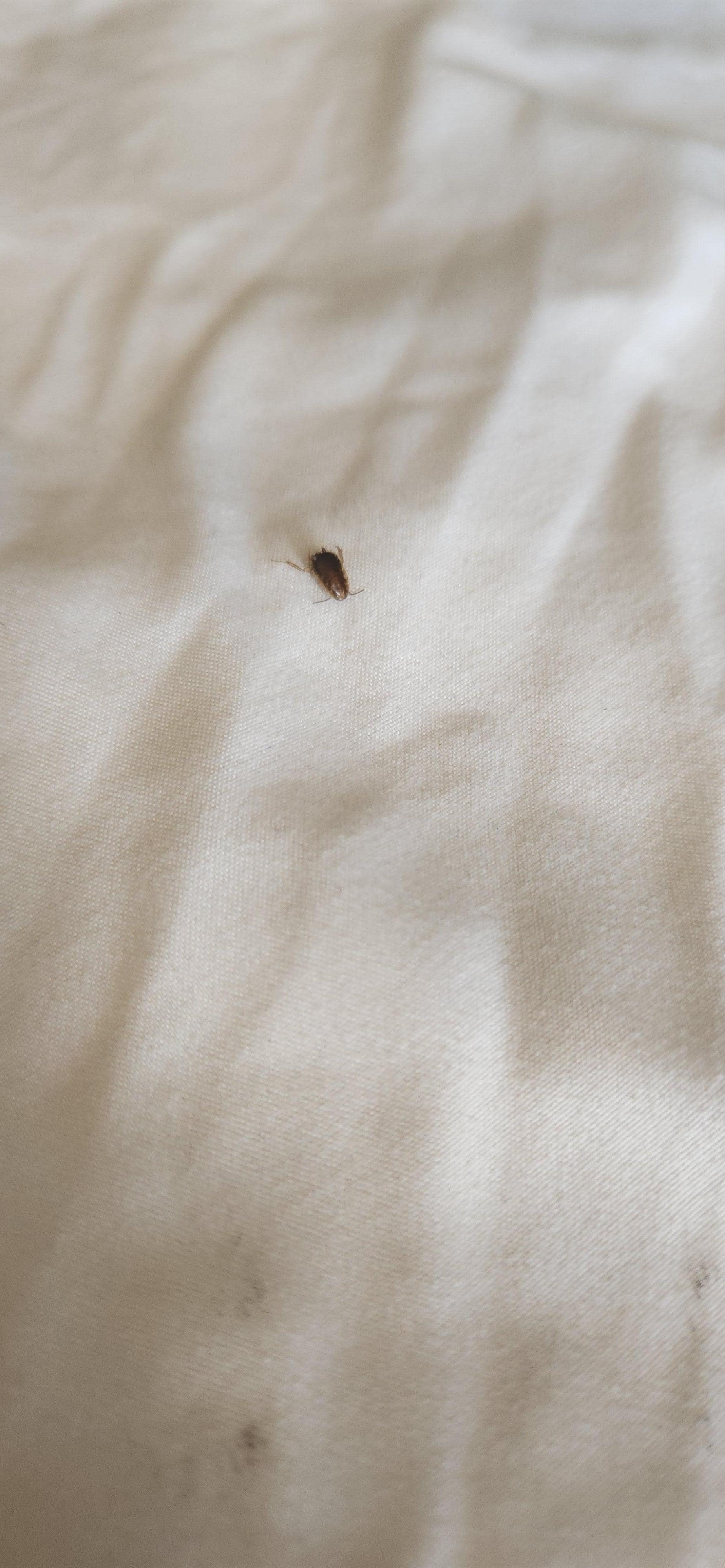  No refund given. We have reported this property to VRBO with a open case, BBB and filed a complaint 