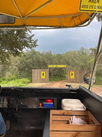 Looking for Bigfoot on our tour