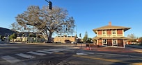 Train Depot and massive fig tree