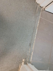 More ripped carpets.