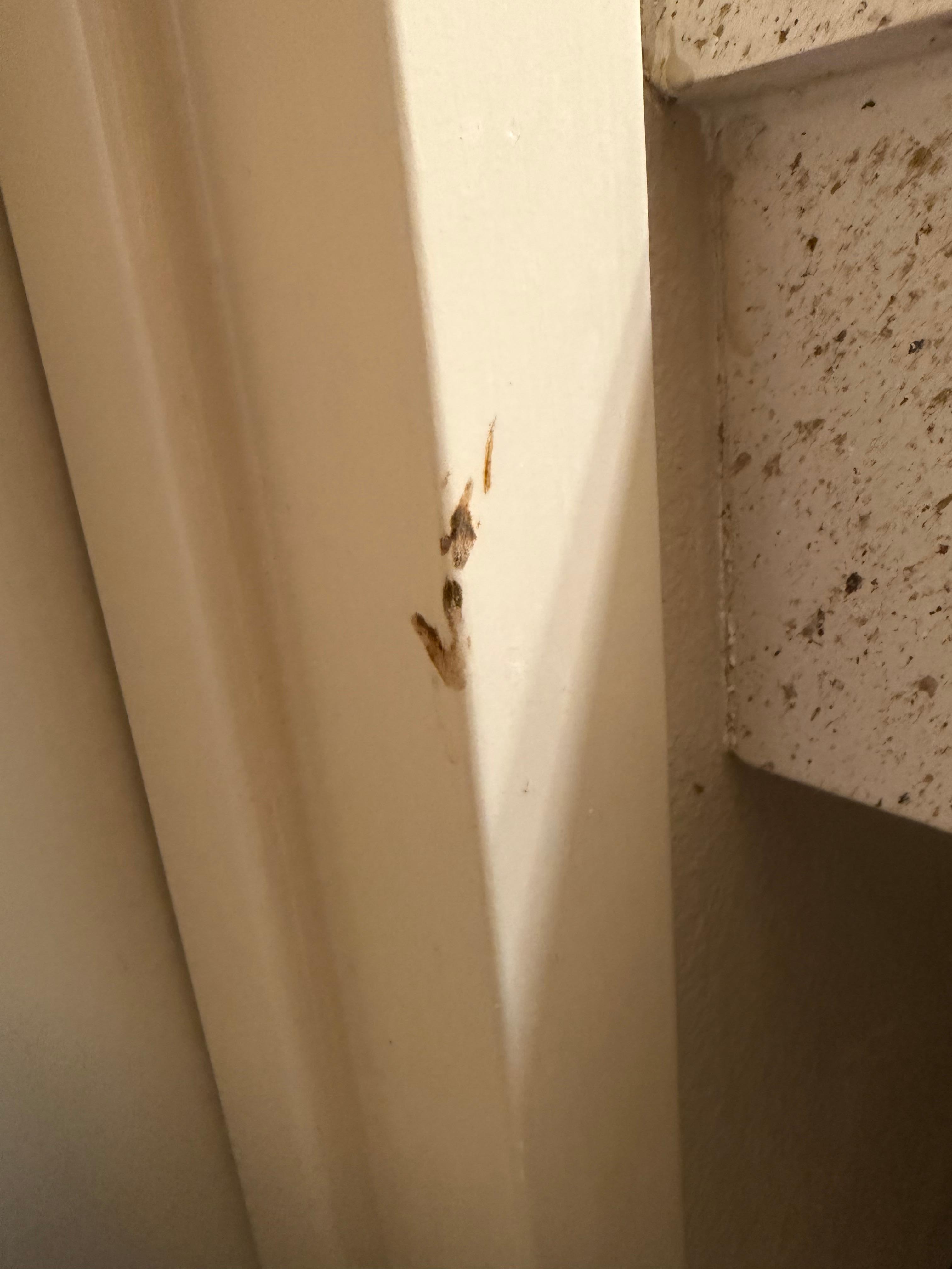 Unacceptable to miss this in the bathroom smear excrement 