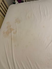 Bodily fluid stains on bed