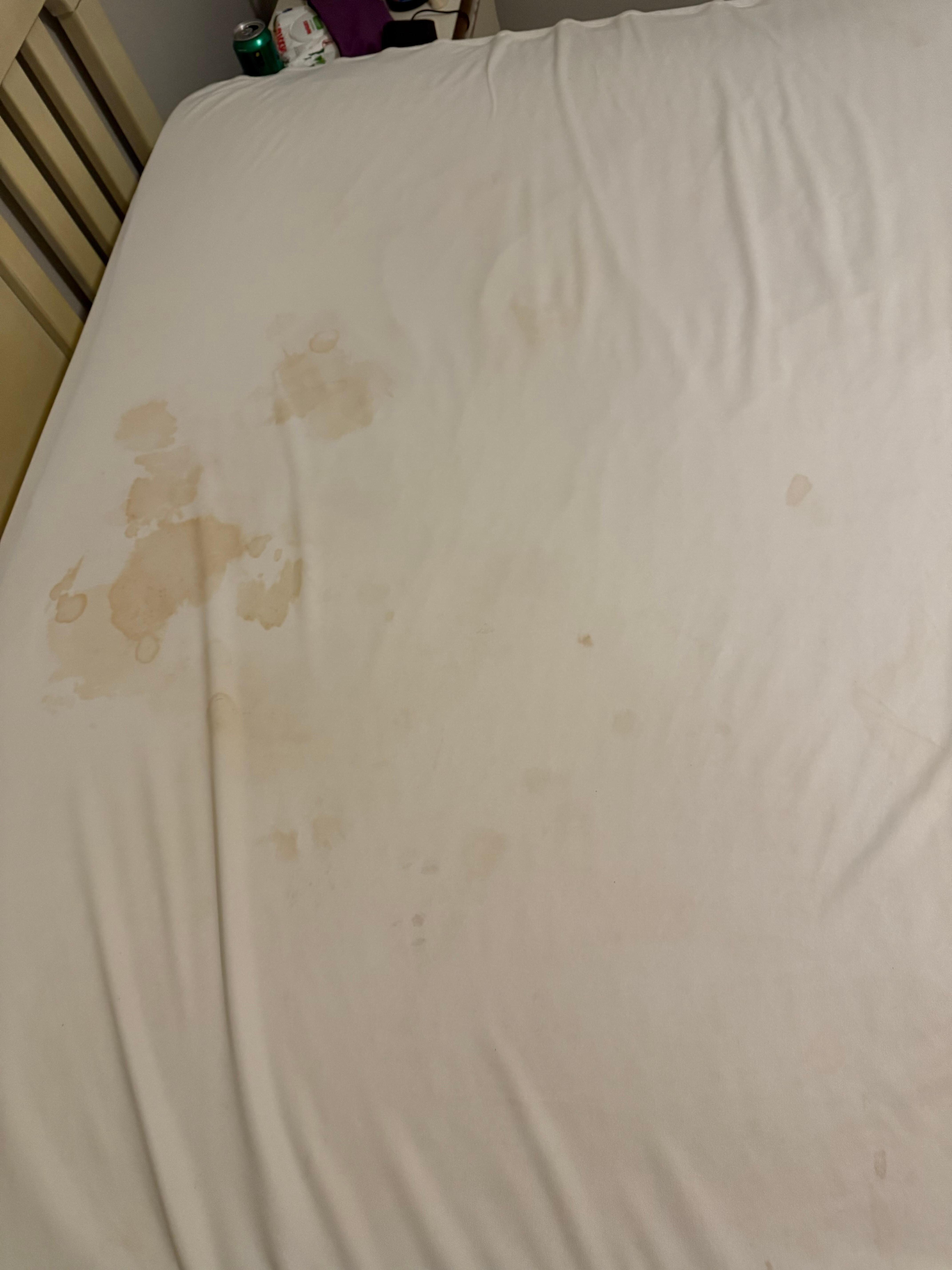 Bodily fluid stains on bed