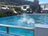 Pool was a bit dirty and falling apart but the kids loved it