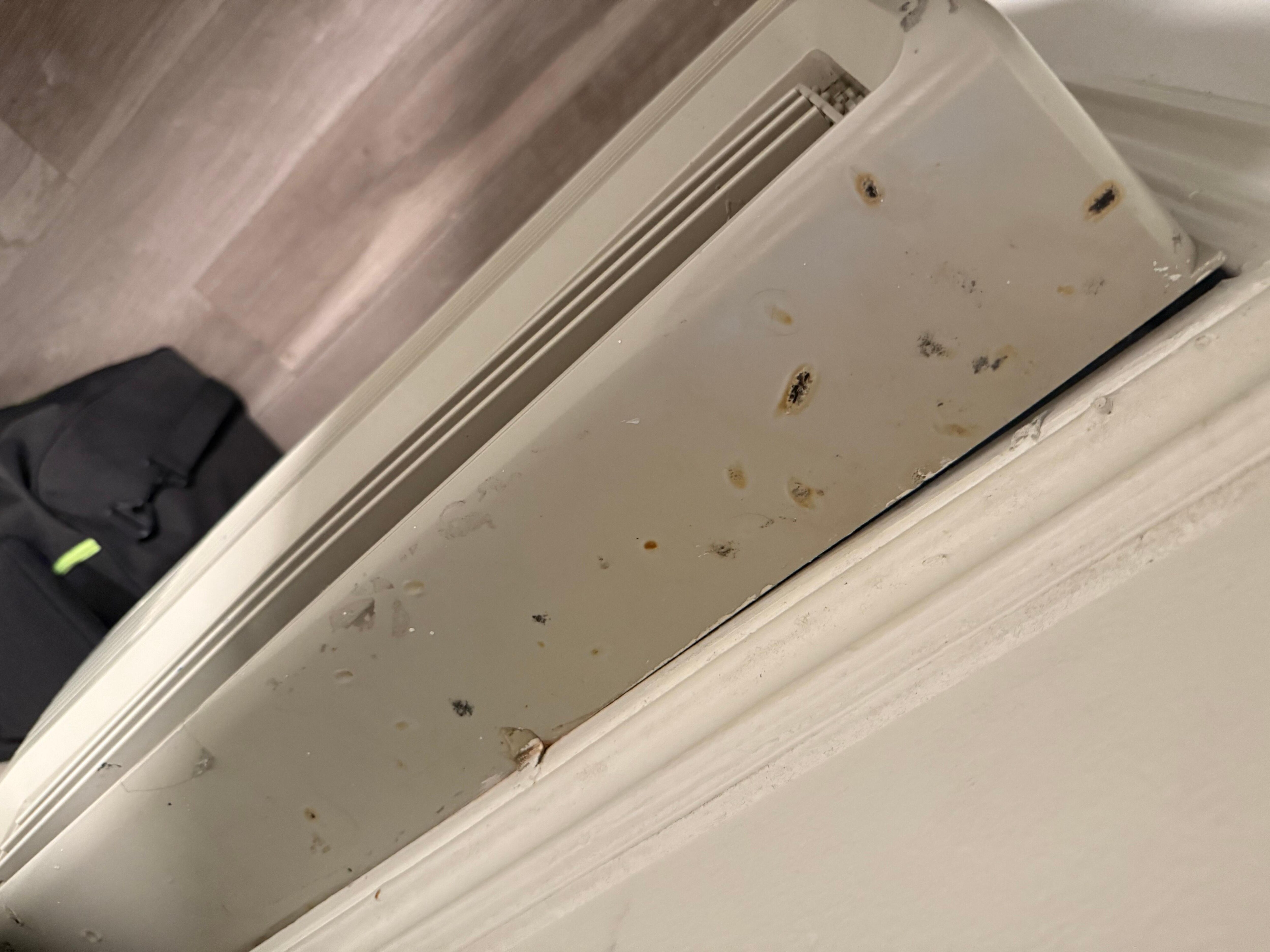 What I’m assuming is dead bugs on AC unit. 