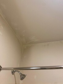 Painted over mold in the shower