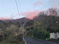 From outside the property boundary