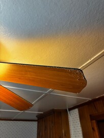 Dust on the fans