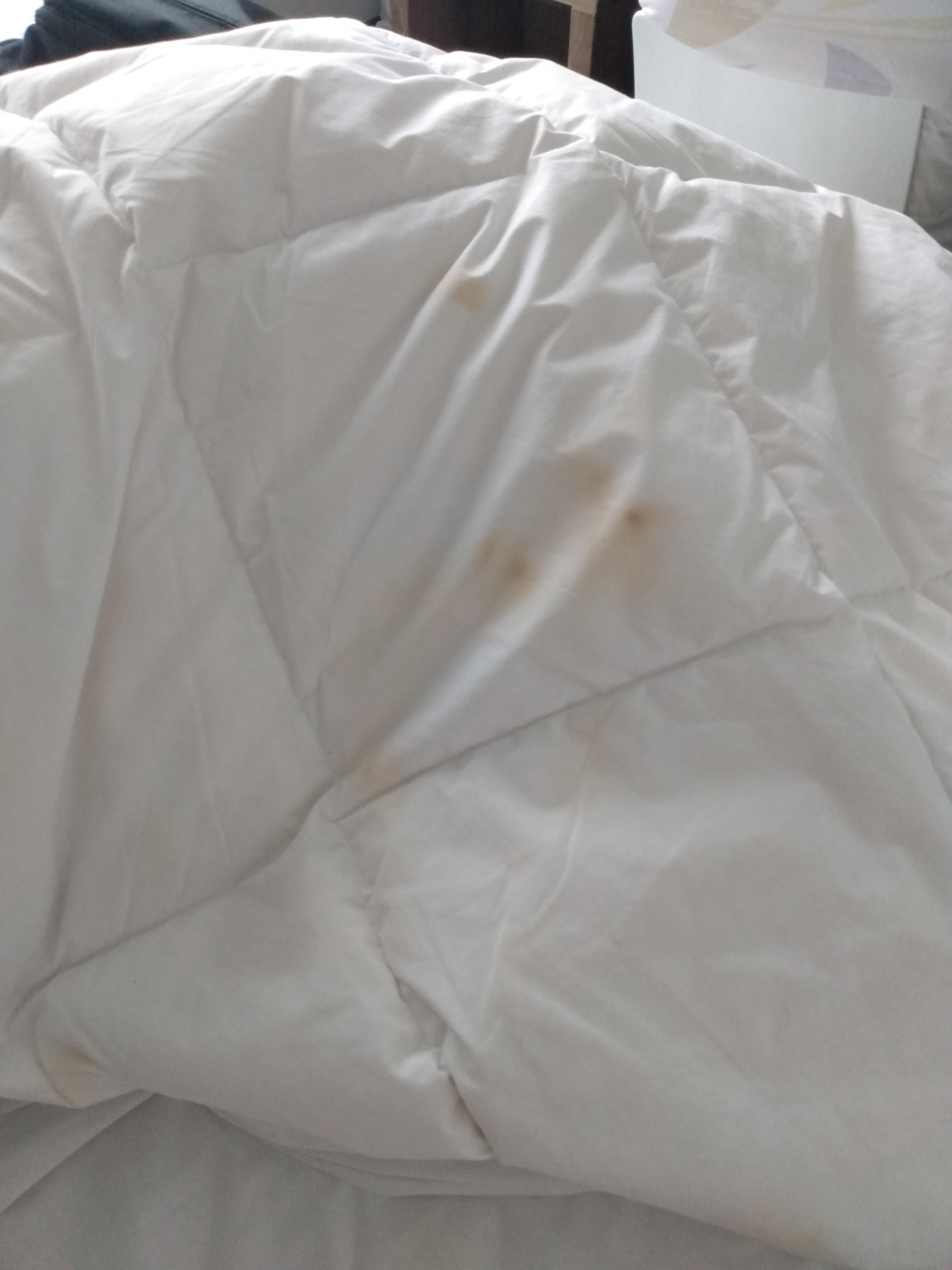 Stained duvet