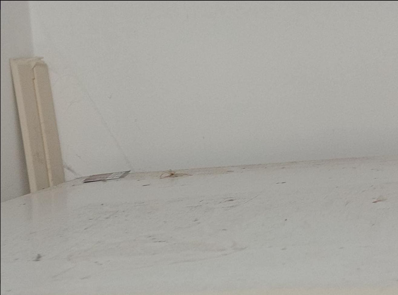 Misty Mountain cobwebs and dirt in fridge area