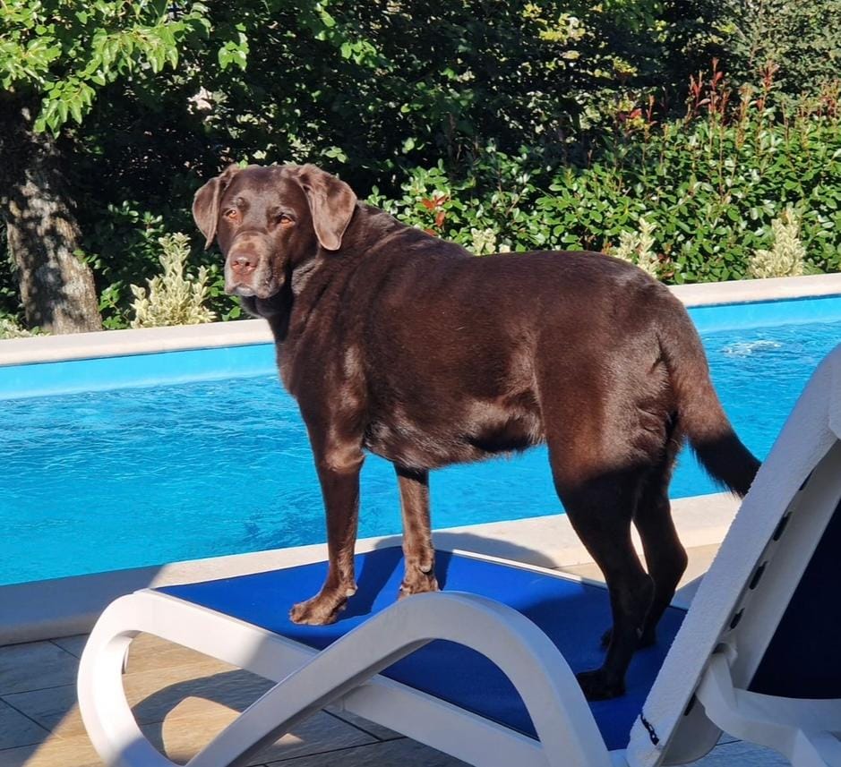 Auch unser Hund Emma hat sich wie zu Hause gefühlt 