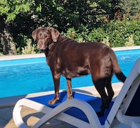 Auch unser Hund Emma hat sich wie zu Hause gefühlt