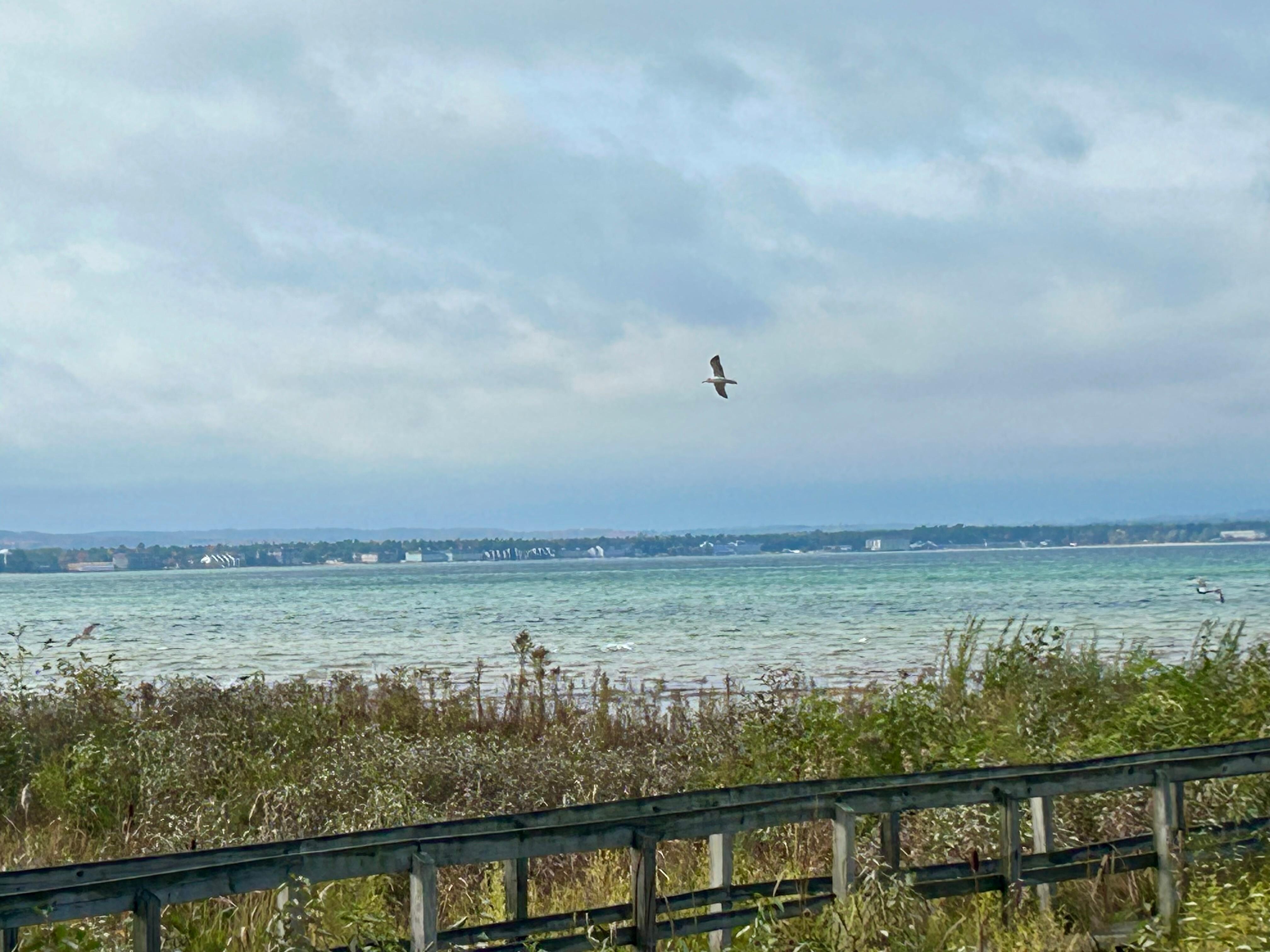 View from the yard, just off the condo deck