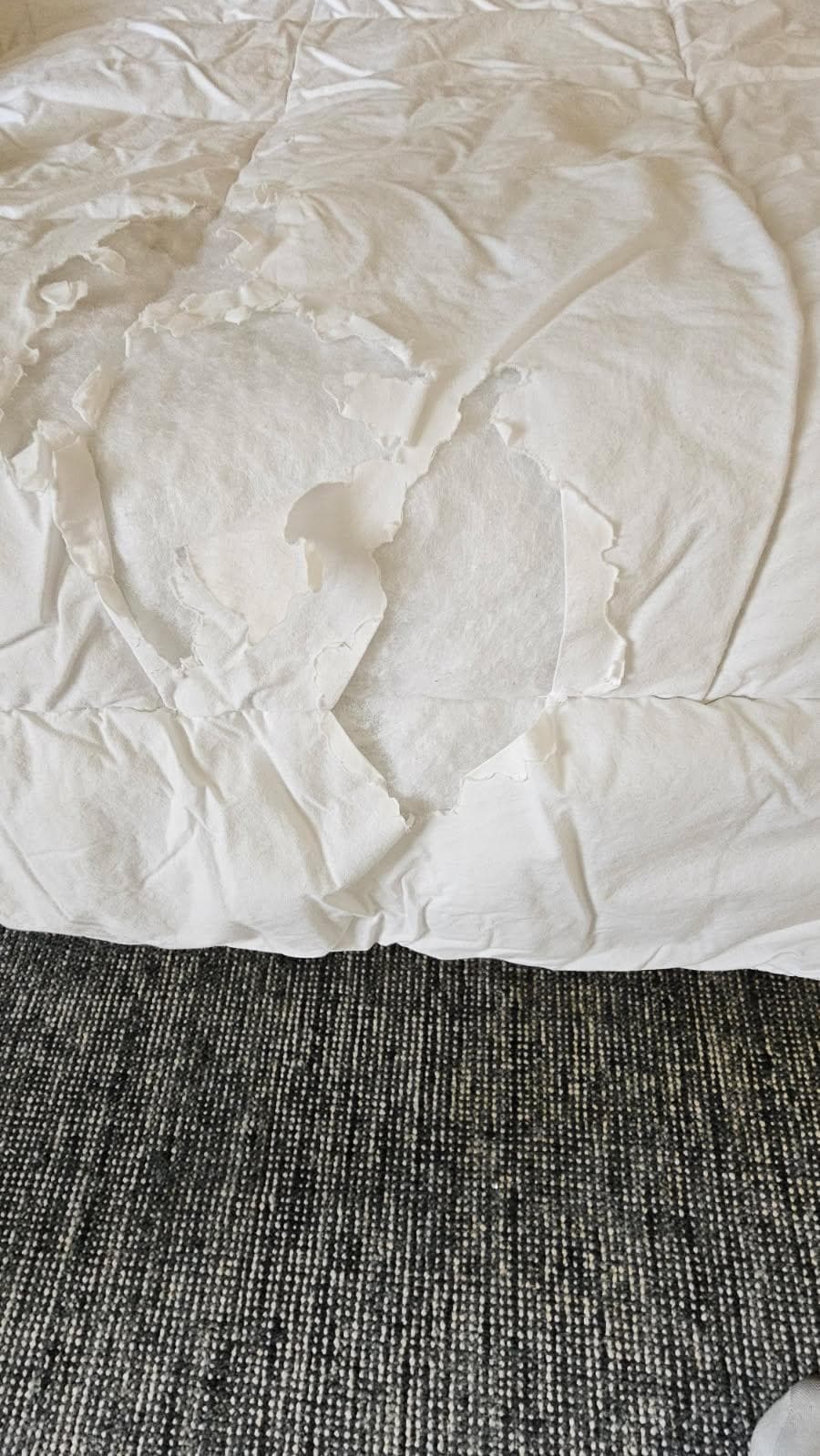 torn comforter with exposed stuffing