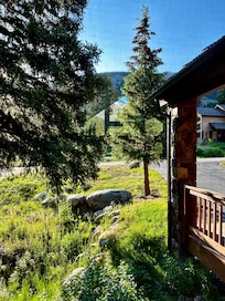 The view from the kitchen sink.