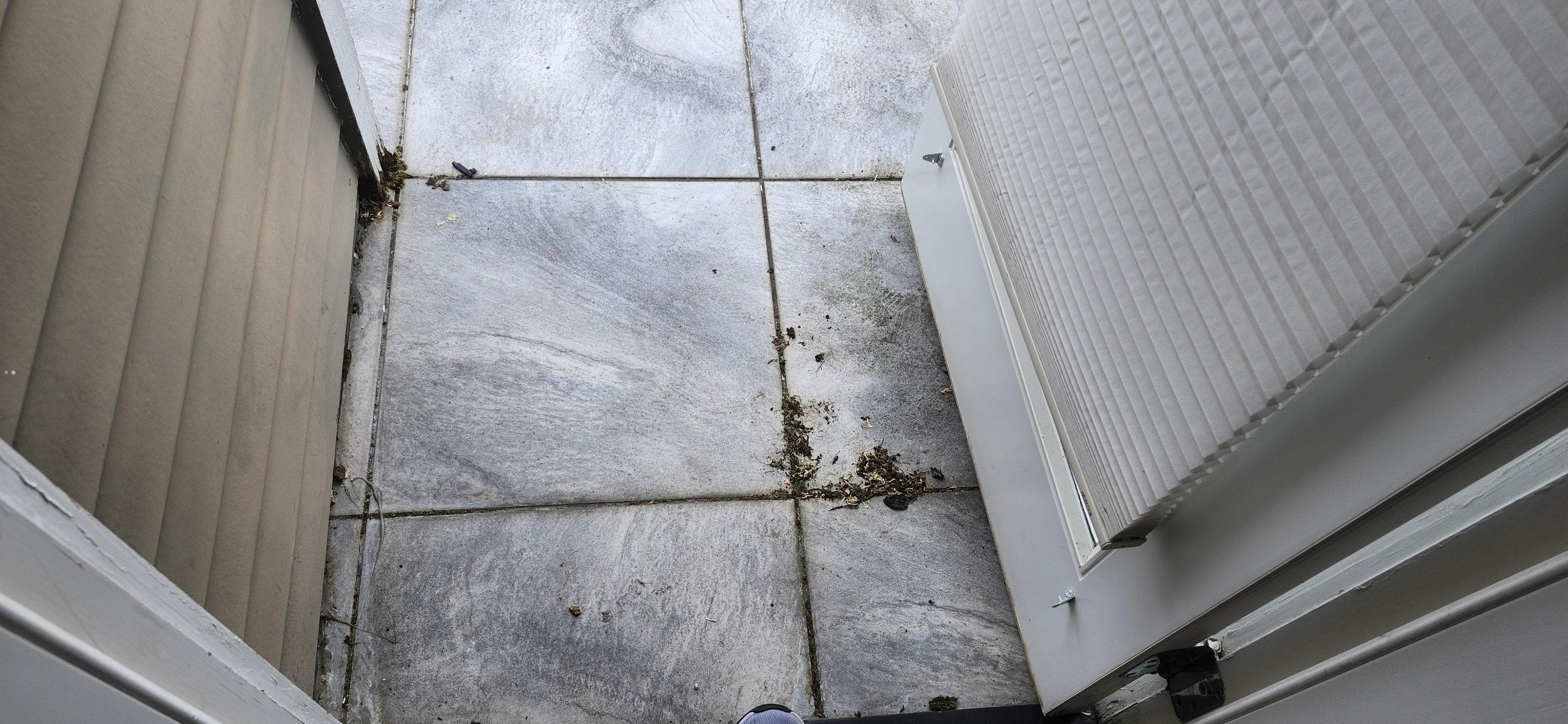 Patio dirty