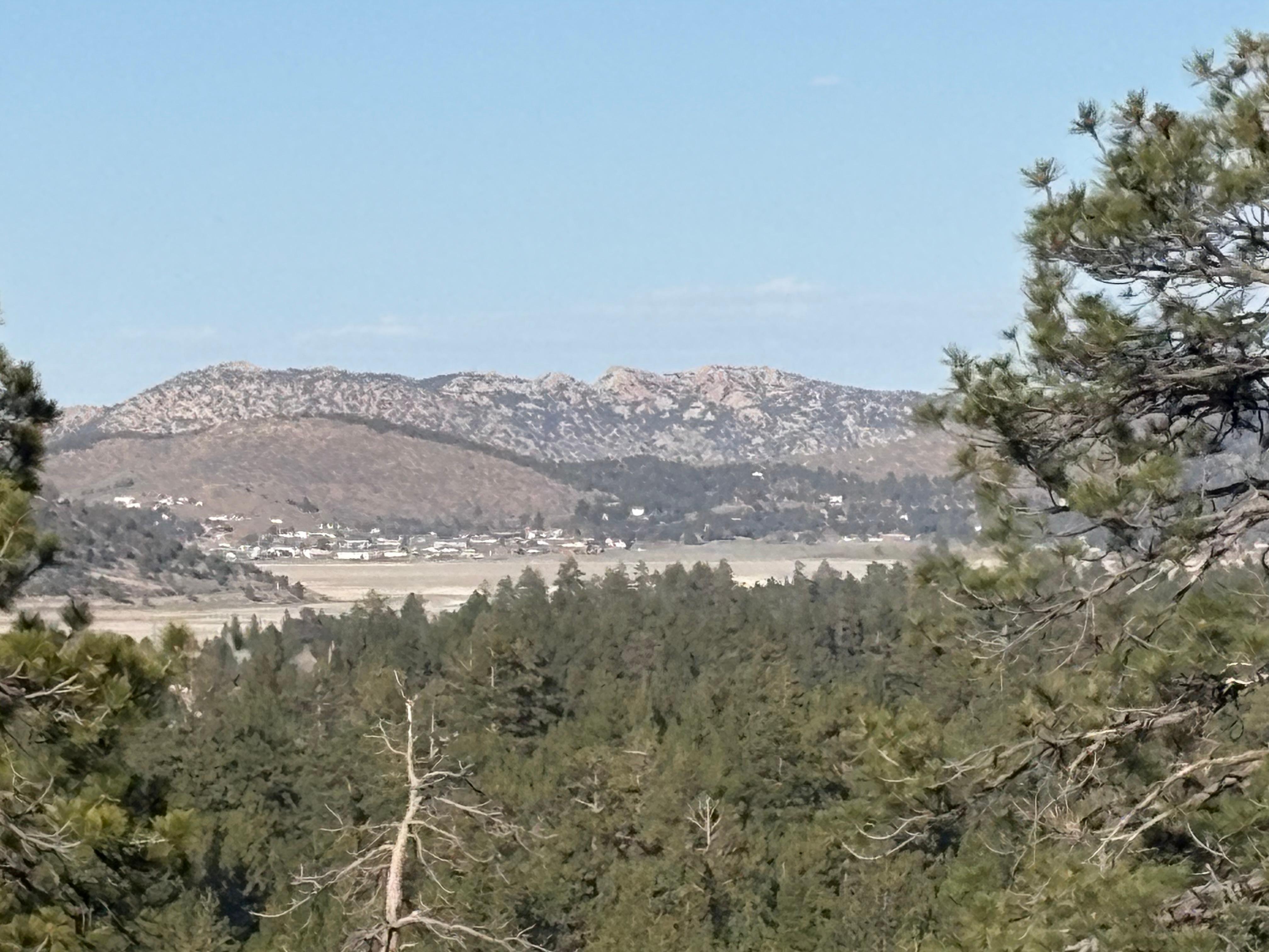 View from the back patio.