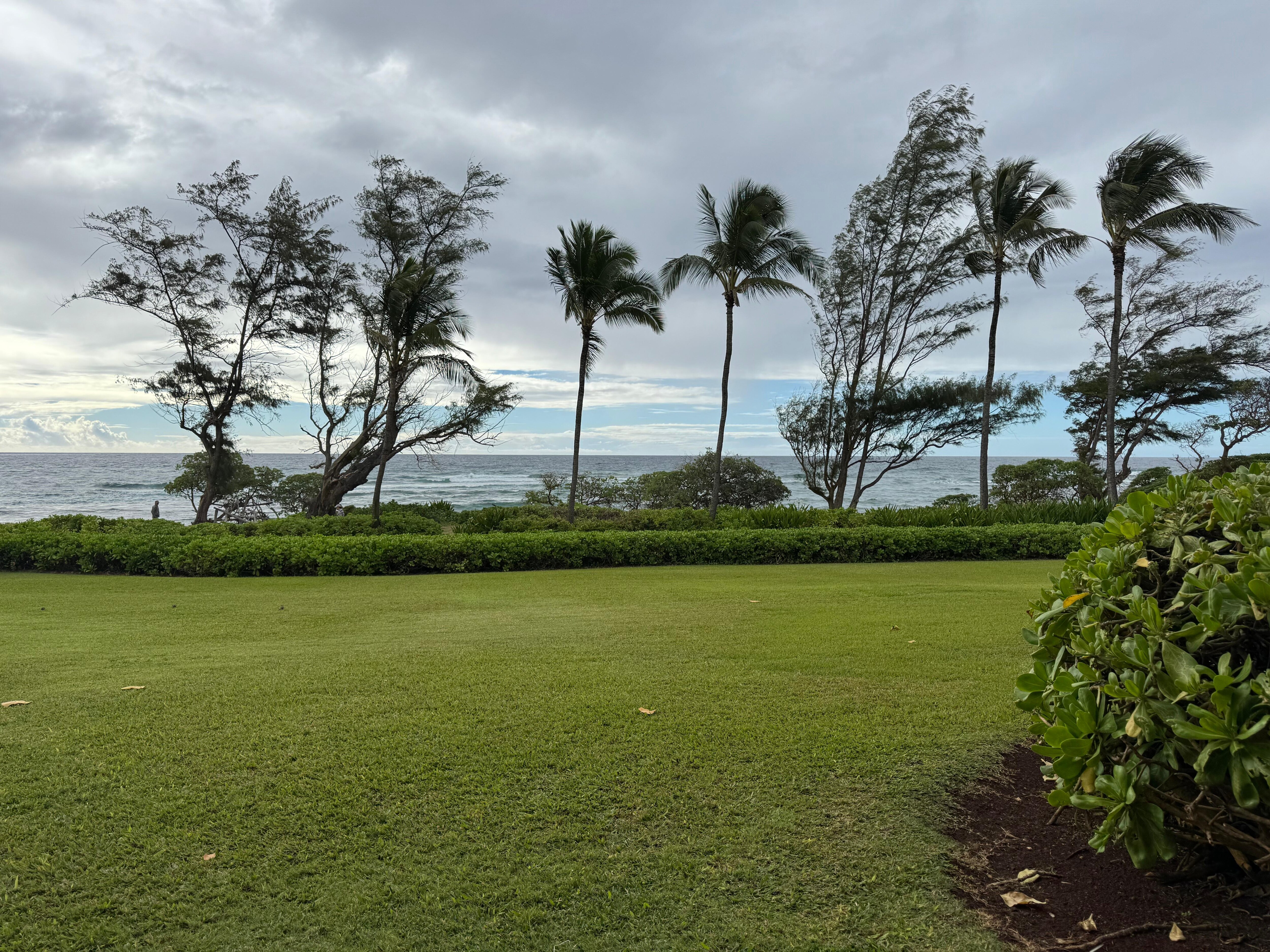 From the lanai 