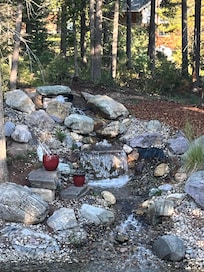 We had a skunk go through and by the little waterfall.