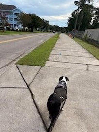 Morning walk near the condo